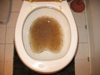 dirty water in toilet