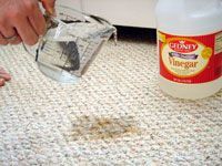 pouring vinegar on carpet stain