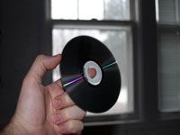 holding up a compact disc