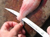 slicing off scales