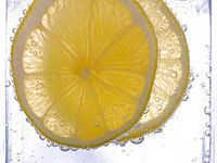 two slices of lemon in club soda