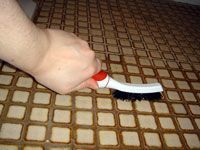 brushing the grout