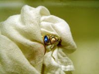 drying gold ring