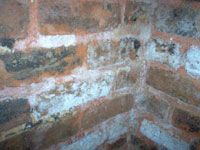 mold on brick walls