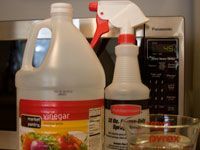 Vinegar and spray bottle