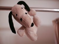 hanging stuffed animals