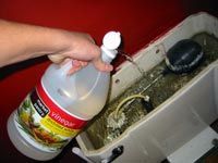 Pouring vinegar into toilet tank