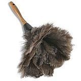 feather duster