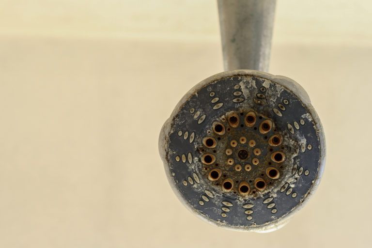 A dirty shower head.
