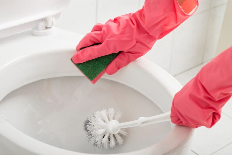 Gloved hands scrubbing a toilet.
